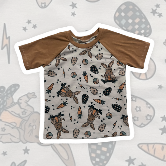 3T Raglan Tee Skater Bunnies
