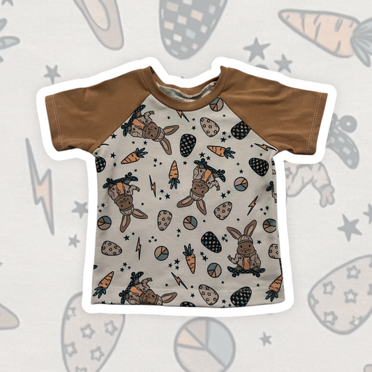 2T Raglan Tee Skater Bunnies